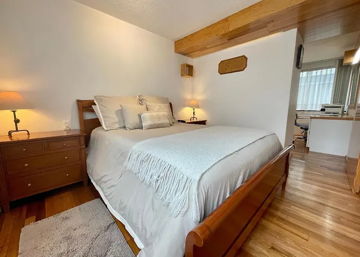 Apartamento Elegant&comfortable Near Coyoacán