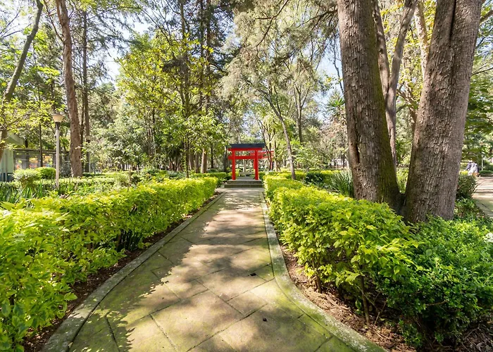 Apartamento Elegant&comfortable Near Coyoacán México DF